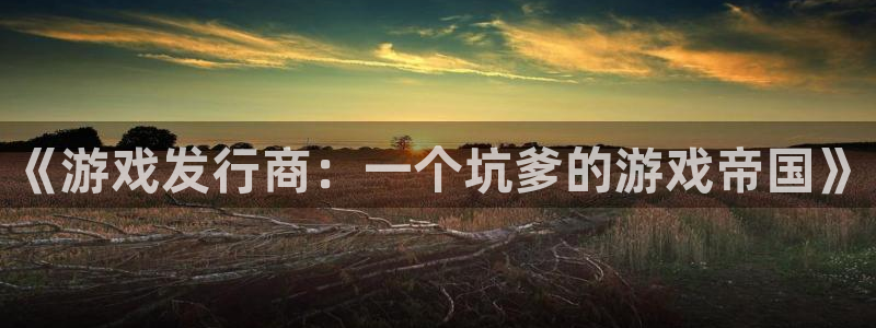 广州完美电竞官网网络科技有限公司电话：《游戏发行商：一个坑爹的游戏帝国》