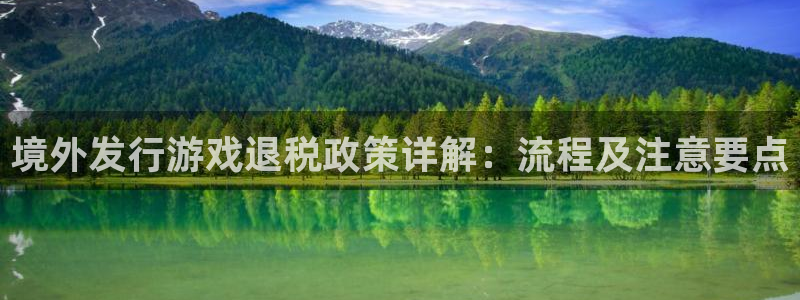 法国完美电竞官网：境外发行游戏退税政策详解：流程及注意要点