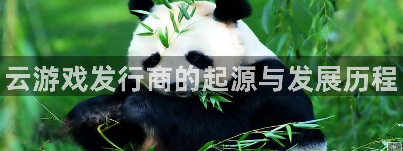 四川完美电竞官网科技有限公司招聘：云游戏发行商的起源与发展历程