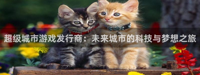 完美电竞游戏平台介绍