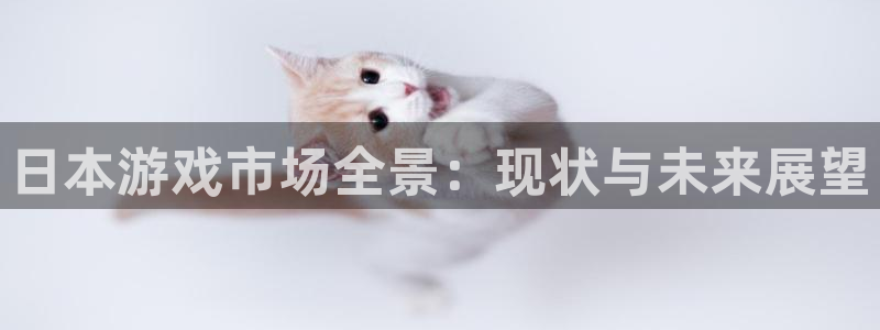 完美电竞客服服务怎么样：日本游戏市场全景：现状与未来展望
