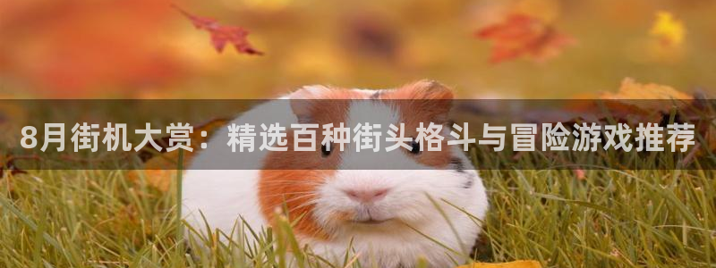 完美电竞官网商标：8月街机大赏：精选百种街头格斗与冒险游戏推荐