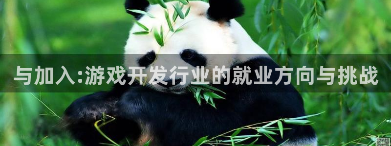 完美电竞主管联3.7.9.9.7 主管：与加入:游戏开发行业的就业方向与挑战