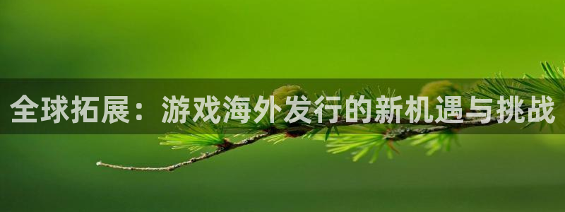 完美电竞官网香烟图片：全球拓展：游戏海外发行的新机遇与挑战