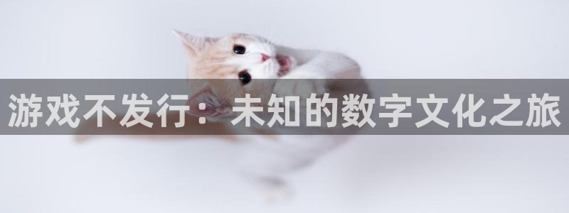 完美电竞注册平台登录不上