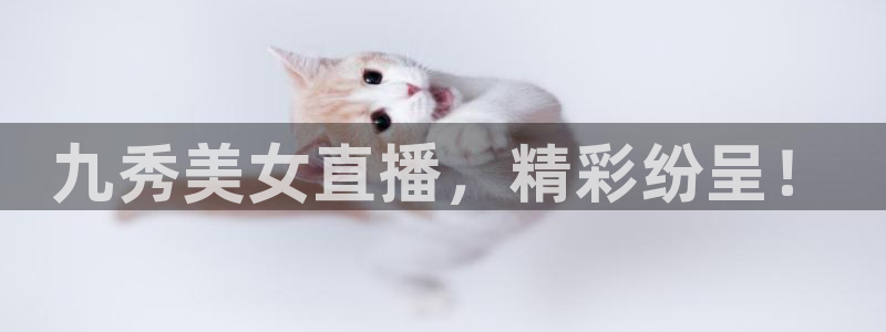 nba雨燕直播在线观看高清