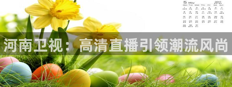 360足球网雨燕直播