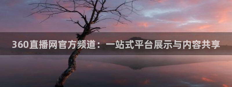 雨燕直播在线观看nba