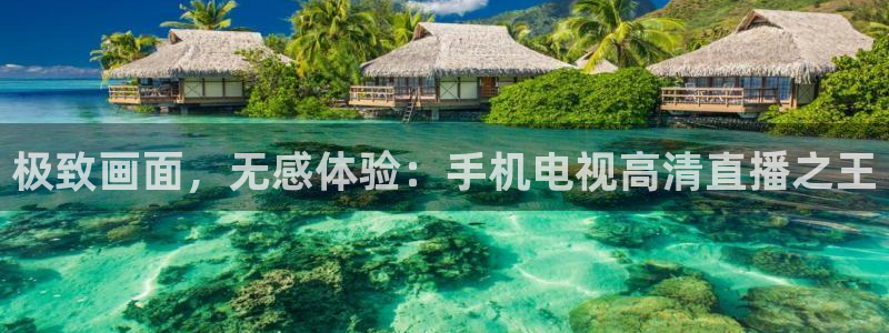 雨燕nba在线直播：极致画面，无感体验：手机电视高清直播之王