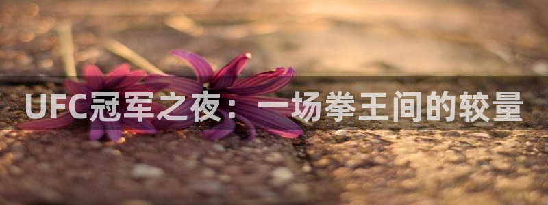 nba直播免费雨燕：UFC冠军之夜：一场拳王间的较量