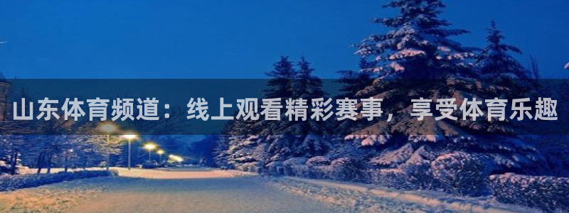 360雨燕直播足球：山东体育频道：线上观看精彩赛事，享受体育乐趣