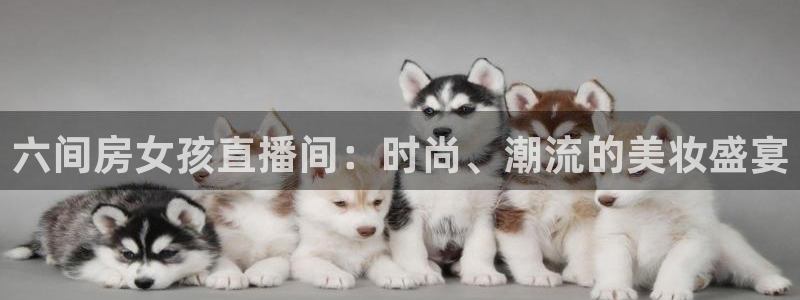 雨燕足球直播首页：六间房女孩直播间：时尚、潮流的美妆盛宴