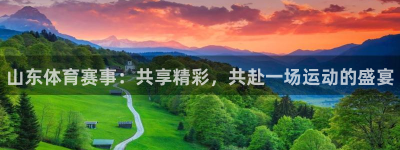 雨燕直播免费体育直播：山东体育赛事：共享精彩，共赴一场运动的盛宴