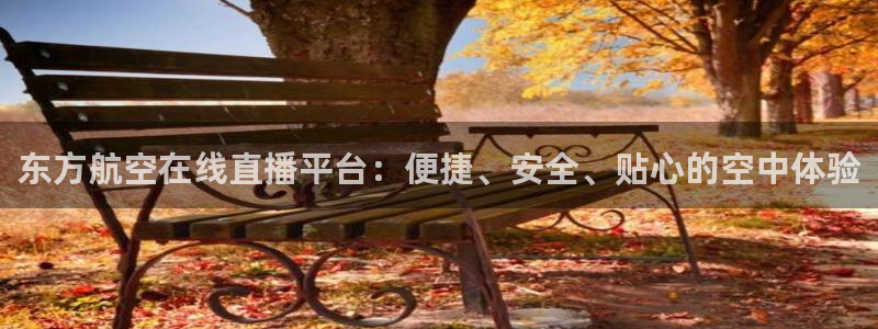篮球雨燕直播