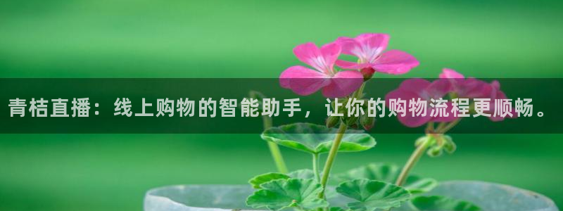 雨燕足球在线直播免费：青桔直播：线上购物的智能助手，让你的购物流程更顺畅。