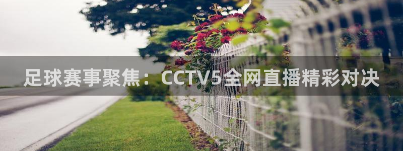 足球免费直播雨燕：足球赛事聚焦：CCTV5全网直播精彩对决